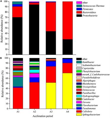 Isolation and Characterization of Phosphorus Solubilizing Bacteria With Multiple Phosphorus Sources Utilizing Capability and Their Potential for Lead Immobilization in Soil